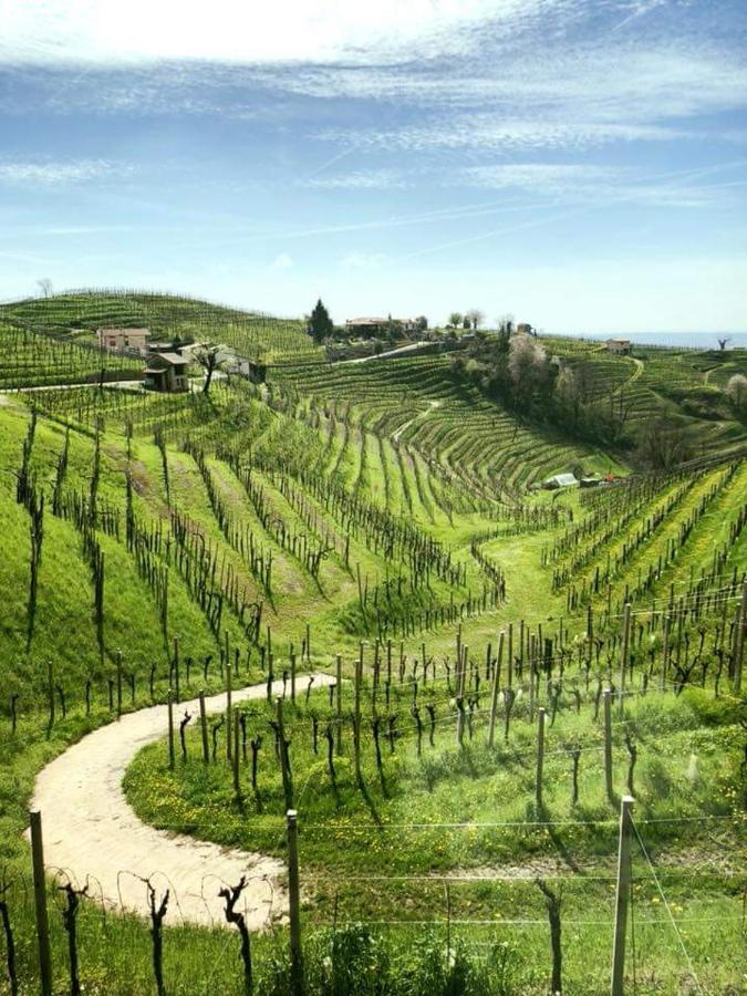 Ferienwohnung Locazione Turistica Gravetta Tarzo Exterior foto